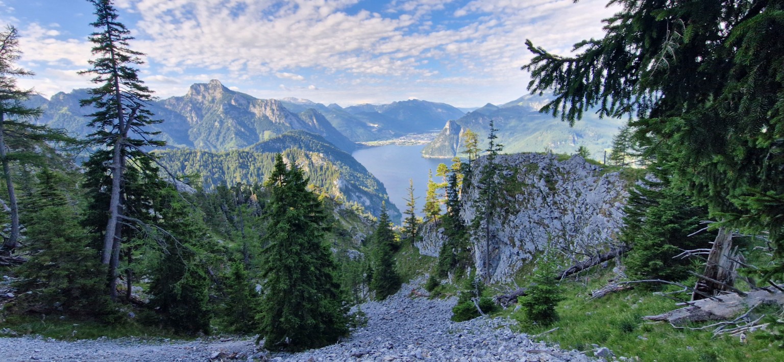 Mountain lake framed by trees